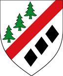 Avice of York PINNED logo