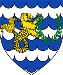 Barony of Seleone PINNED logo