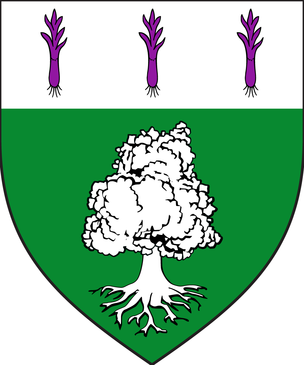 Belisencia de Sawnyng logo