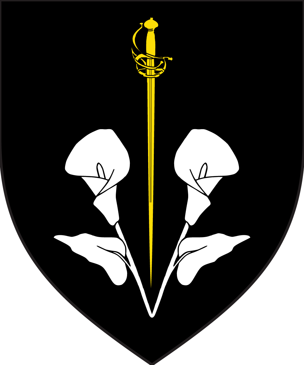 Broinnfinn inghean ui Chathain logo