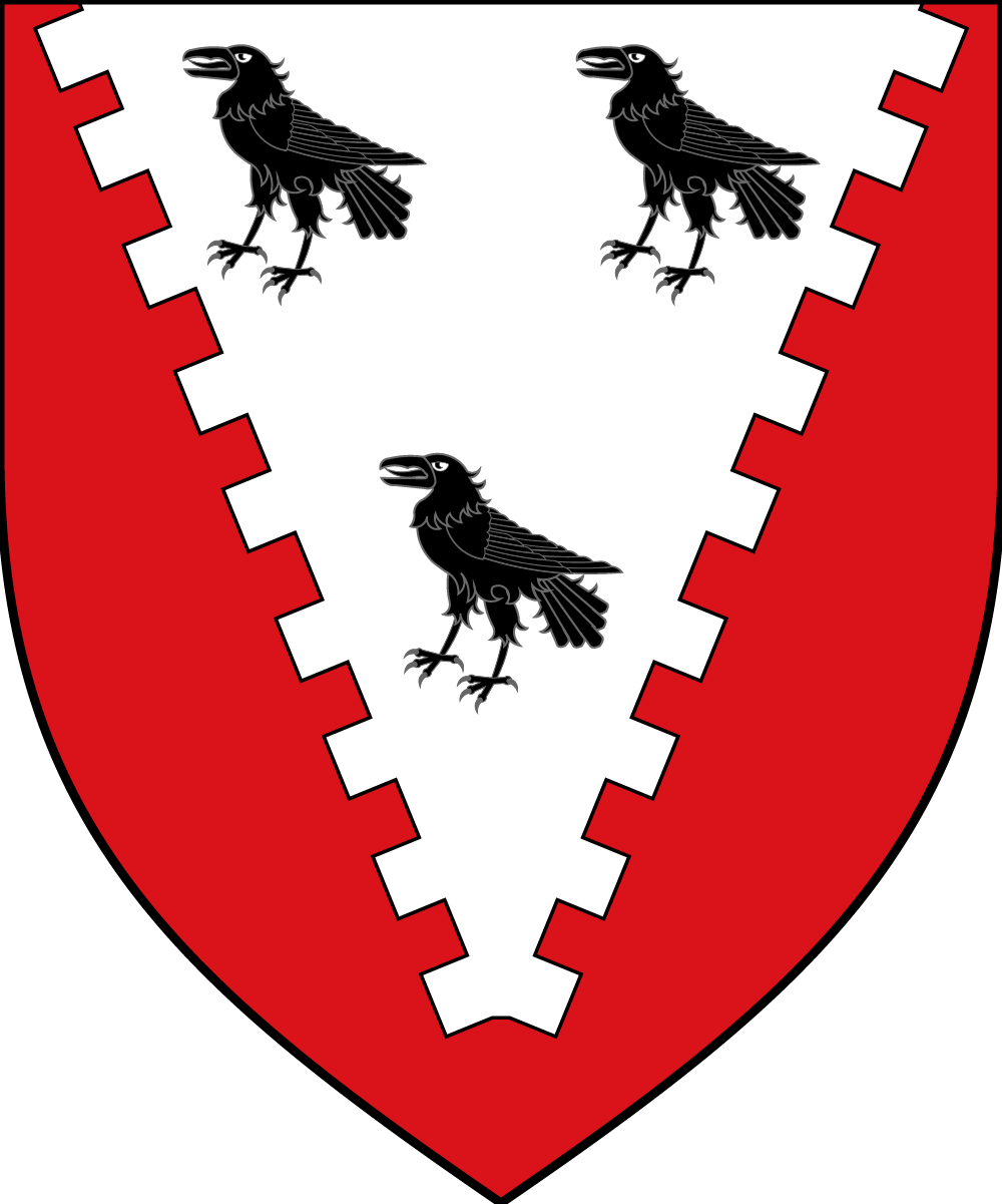 Domnall ua Maille logo